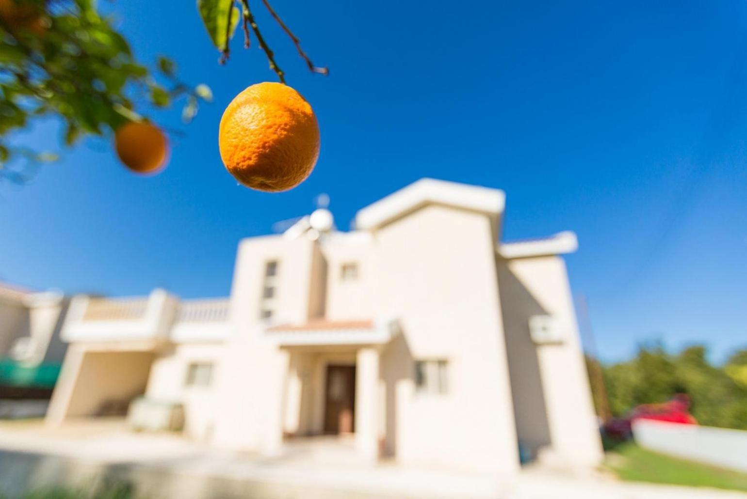 Villa Clementina Kato Yialia Kültér fotó